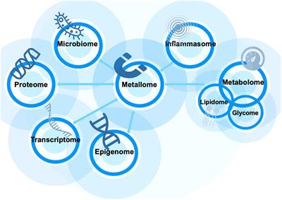 The Metallome as a Link Between the “Omes” in Autism Spectrum Disorders